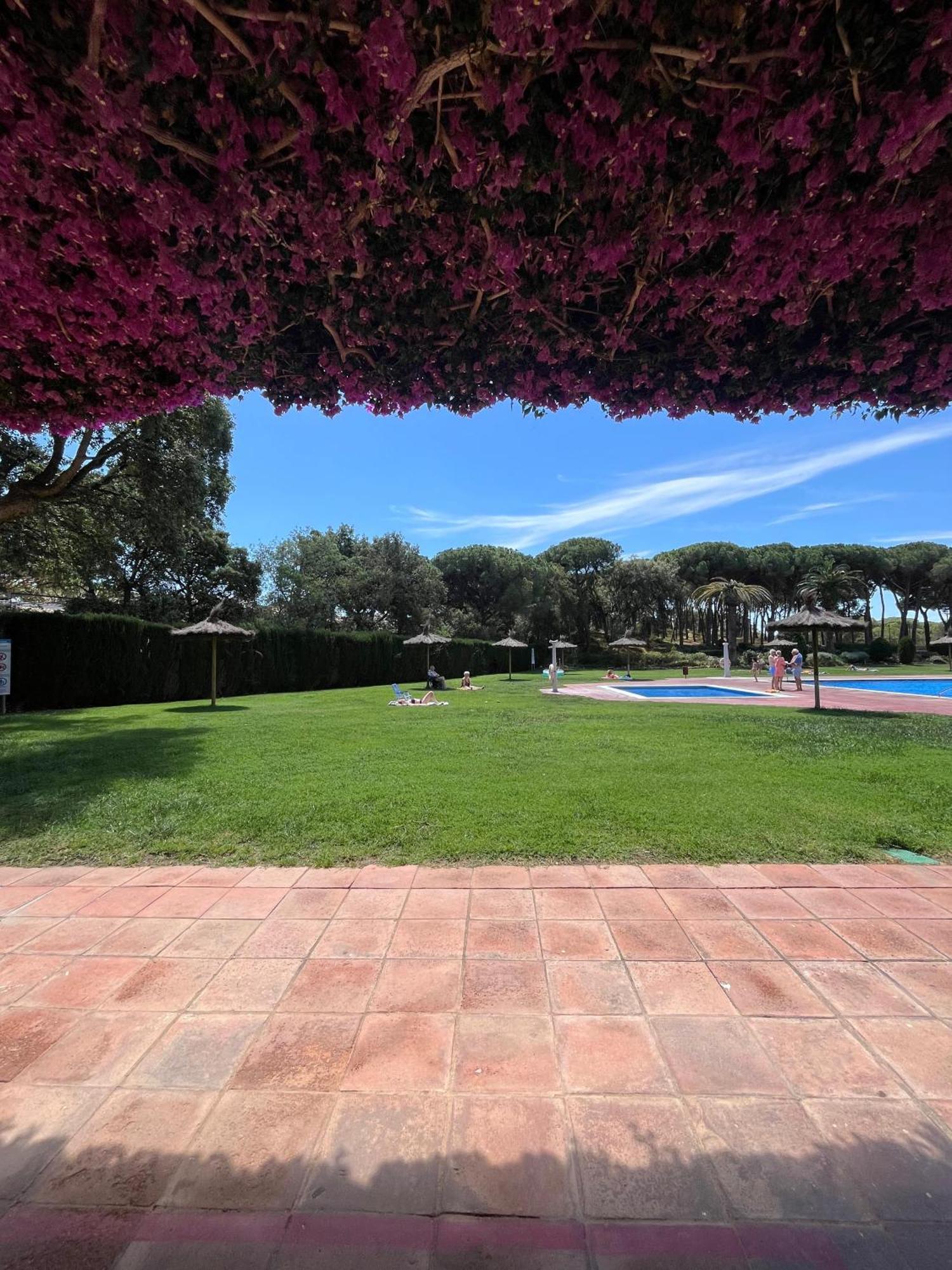 Apartament Calella De Palafrugell - Piso Reformado Con Piscina, Wifi Y Parking Gratuito Zewnętrze zdjęcie